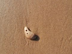 -湄洲岛