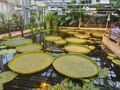 -国家植物园南园