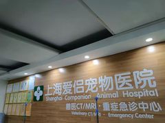 -爱侣宠医·鹦鹉专科·小型哺乳类·异宠专科(灵石路店)