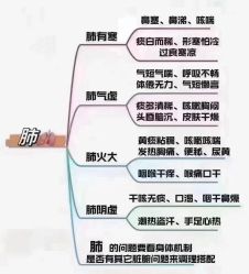 -YESIDO椰岛美容