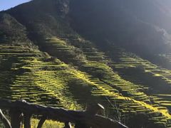 -新安江山水画廊风景区