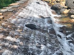 -石台牯牛降景区