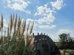 -嘉北郊野公园北游客中心-地上停车场