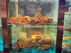 -1718海鲜姿造(苏宁宴请臻选店)