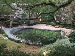 -香港大学
