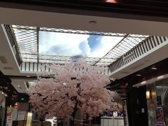 -添赐温泉馆(上南路店)