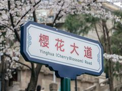 -武汉大学-樱园