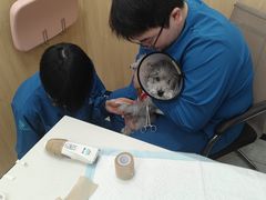 -瑞派雷欧宠物医院·24h夜诊·心脏骨科牙科·全科重症转诊中心(无影山店)