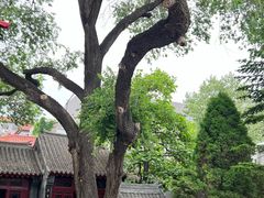 -张学良旧居陈列馆