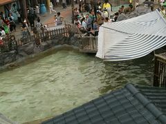 android_upload_pic-郑州海洋馆