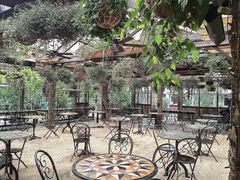 -The Grounds of Alexandria