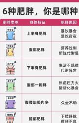-Fundi张玉珊修身堂·indiba·BTL科技瘦身