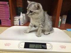 -艾贝尔宠物医院·狂犬免疫点(江山金象城店)