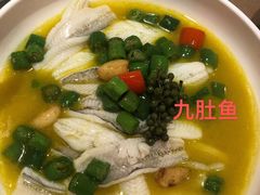 花椒蒸九肚鱼-喜鼎海胆水饺(平安金融中心店)