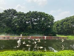 -广州长隆飞鸟乐园