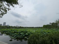 -武汉动物园
