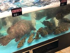 水产区-海蓝海鲜馆(五四北店)