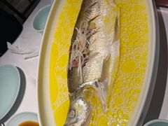 -森隆饭庄(崇文门新世界百货店)