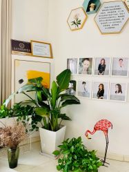 -新蝶变皮肤管理中心