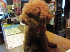 IMG_7247-武汉探路者国际青年旅舍