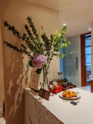 -阿南达·瑜伽普拉提·阿育吠陀疗愈中心