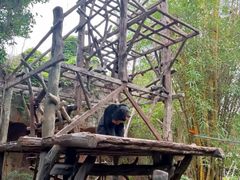 -长鹿旅游休博园