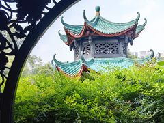 -桂湖森林公园