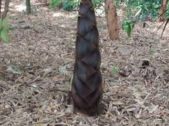 -苏州河梦清园环保主题公园