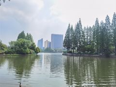-黄兴公园