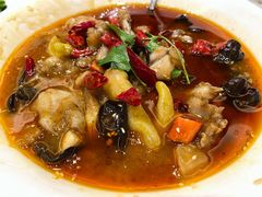 馋嘴蛙-金时代顺风大酒店(临港百联店)