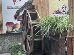 -大理董·董家小厨野生菌火锅(古城旗舰店)