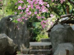 -深圳国际园林花卉博览园