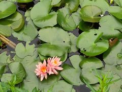 -花溪公园