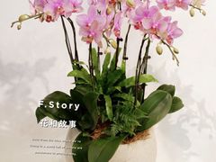 -F.Story 花和故事(新天地店)