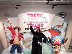 -东京塔海贼王主题公园