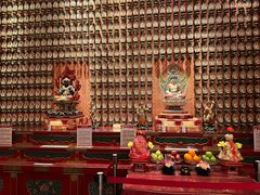 -新加坡佛牙寺龙华院