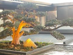 -外滩·云南人家(昆明旗舰店)