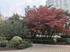 -中山公园