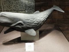 -大连自然博物馆