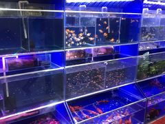 水产区-天丰利生活MALL(和平里店)