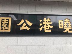 -晓港公园