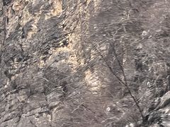 -神农溪纤夫文化旅游区