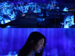 -中国西峡恐龙遗迹园