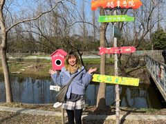 -上海长兴岛郊野公园