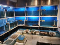 水产区-潮人姐妹轩(海宁路店)