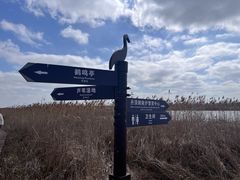 -盐城丹顶鹤湿地生态旅游区