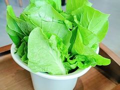 -七采菌园·野生菌石锅鱼(环城北路店)