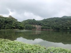 -广州市石门国家森林公园