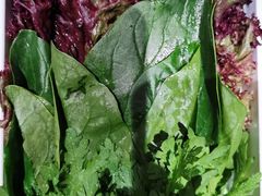 -南门四季铜锅涮肉(大屯·北苑店)