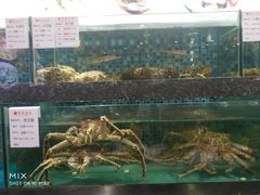 -宝燕壹号(徐汇店)
